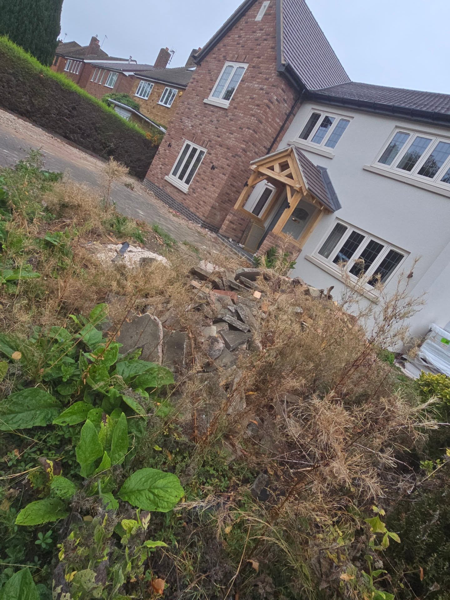 The original overgrown area beside the property