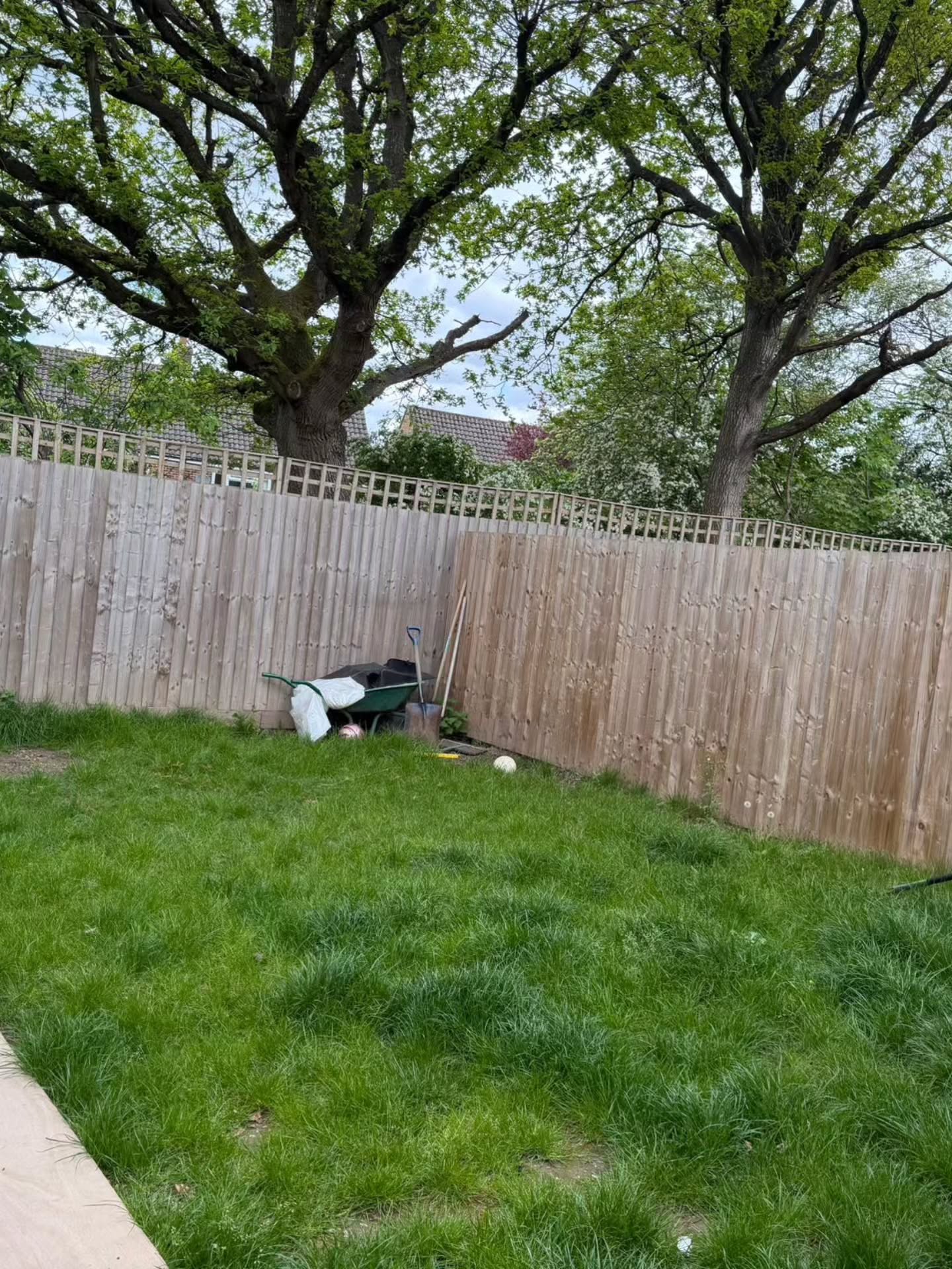 The back garden before work began: uneven grass beside a timber fence