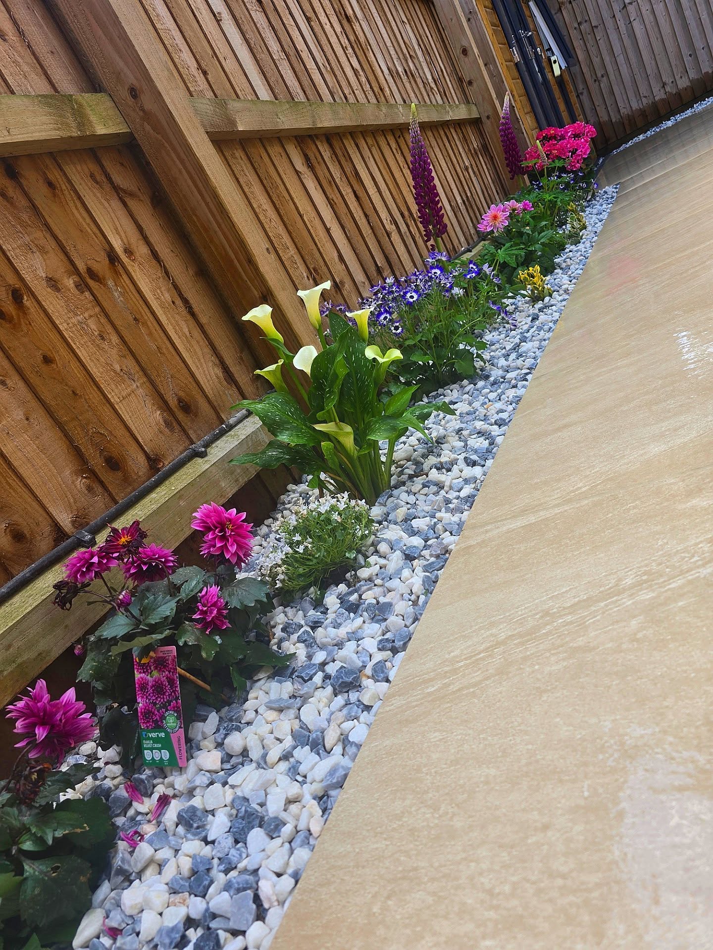 Light paving beside a planted flower border dressed with decorative stone